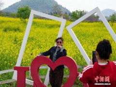 贵州贵阳：春风渐暖花渐开 踏青赏春正当时